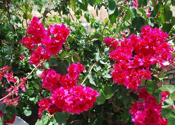 Siroco's And Apart-hotel 3*