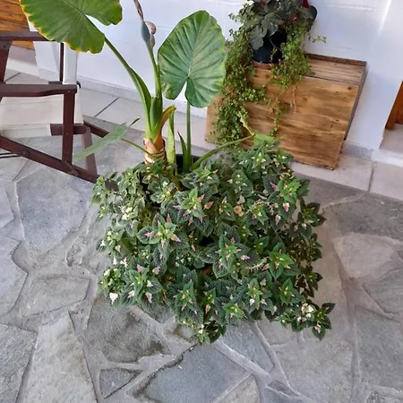 Siroco's And Parikia (Paros)