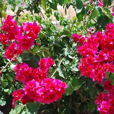 Siroco's And Lägenhetshotell 3*